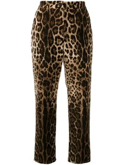 Dolce & Gabbana Leopard Print High-rise Trousers In Brown