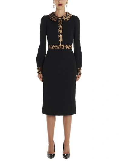 Dolce & Gabbana Leopard Print Trim Midi Dress In Black