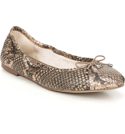 Sam Edelman Felicia Snakeskin Ballerinas - 多色 In Praline Multi Leather