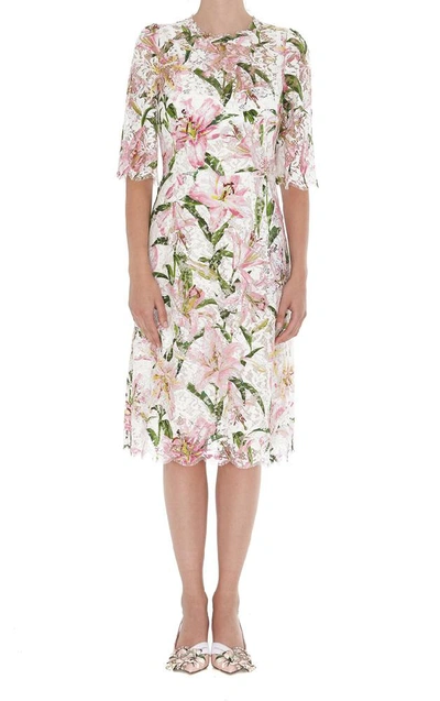 Dolce & Gabbana Lilium Print Lace Dress In Gigli Fdo.rosa