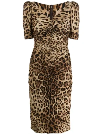 Dolce & Gabbana Ruched Leopard-print Silk-blend Crepe Dress In Brown
