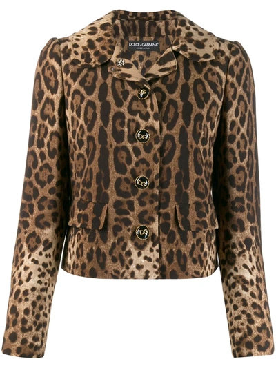 Dolce & Gabbana Wool Double Crepe Printed Short Jacket In Brown