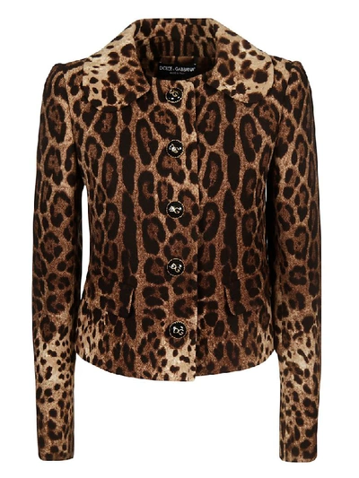 Dolce & Gabbana Animal Print Jacket In Leopard