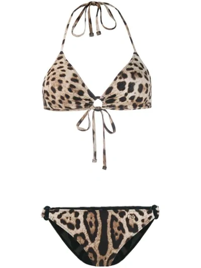 Dolce & Gabbana Leopard Print Bikini In Brown