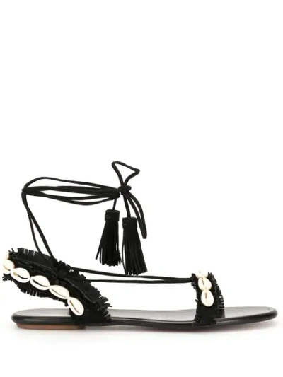 Aquazzura Seashell Embellished Sandals In Black