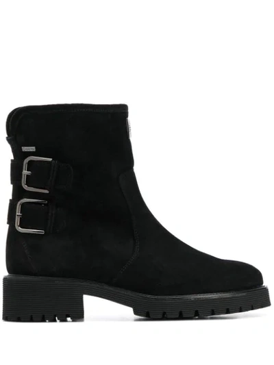 Hogl Buckle-detail Ankle Boots In Black