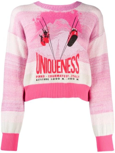 Pinko Courmayeur Sweater In Pink