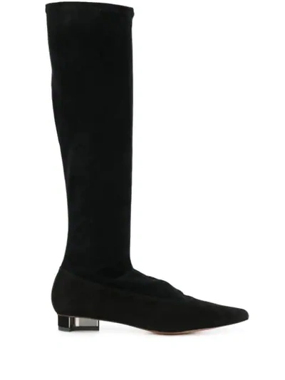 Clergerie Pointed Toe Boots In Black