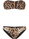 Dolce & Gabbana Leopard Print Bandeau Bikini In Hy13m