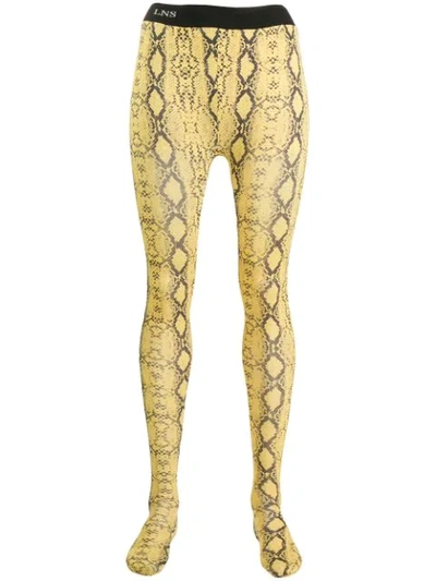 Laneus Snakeskin-print Leggings In Yellow