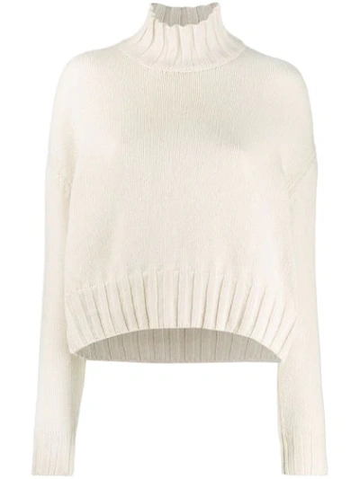 Aragona Turtleneck Jumper In Neutrals