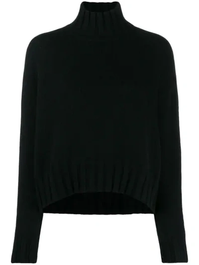 Aragona Turtleneck Jumper In Black