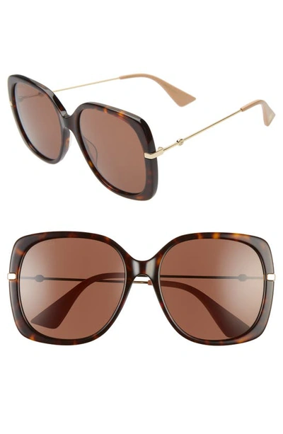 Gucci Acetate & Metal Rectangle Sunglasses In Havana/ Brown/ Gold