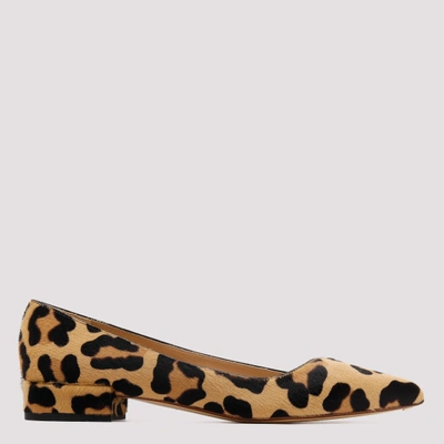 Francesco Russo Leopard Print Ballerina Shoes In Brown