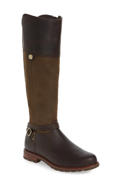 Ariat Carden Waterproof Knee High Boot In Chocolate/ Willow