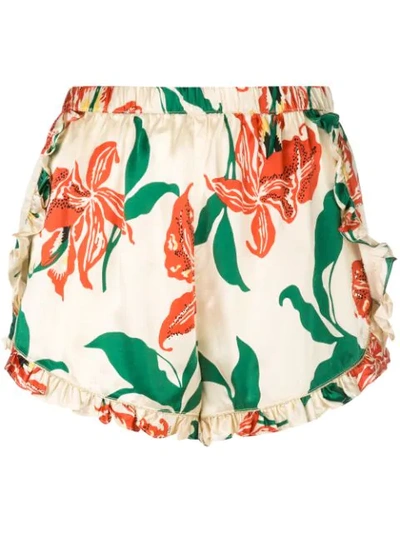 Morgan Lane Esti Floral Print Night Shorts In White