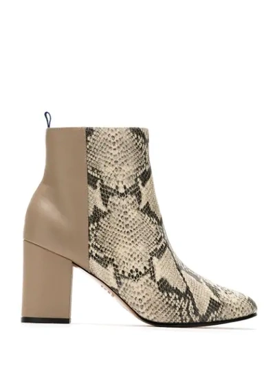 Blue Bird Shoes Snakeskin Effect Duo Boots In Neutrals