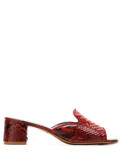 Blue Bird Shoes Python Mules In Red