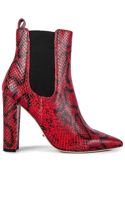 Tony Bianco Lavida Boot In Red & Black Snake