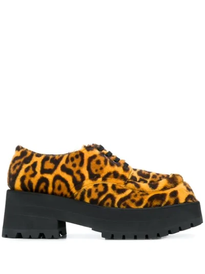 Marni Leopard Print Lace-up Shoes In Brown