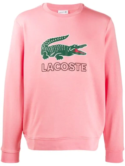 Lacoste Printed Logo Sweatshirt In Pink