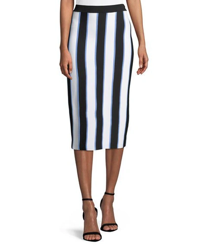 Carolina Herrera Striped Knit Pencil Midi Skirt In Black Pattern