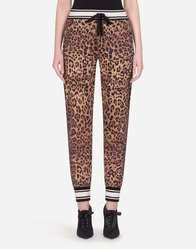 Dolce & Gabbana Jersey Jogging Pants With Leopard Print