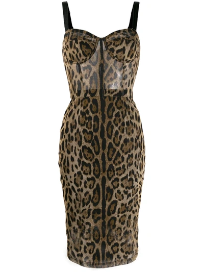 Dolce & Gabbana Tulle Midi Bustier Dress With Leopard Print In Leo Print