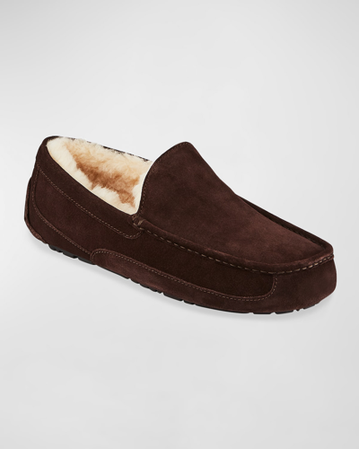 Ugg Slippers Ascot  Suede Logo Brown