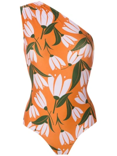 Adriana Degreas Printed One Shoulder Swimsuit In Multicolour