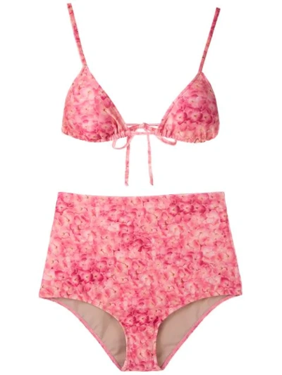 Adriana Degreas Printed Triangle Bikini Set In Pink