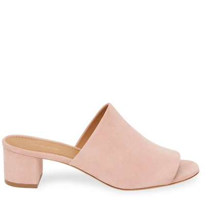 Mansur Gavriel Suede 40mm Mule In Rosa