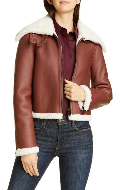 Theory Leather & Shearling Moto Jacket In Sedona