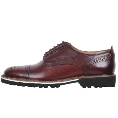 Oliver Sweeney Bowland Brogue Shoes Brown