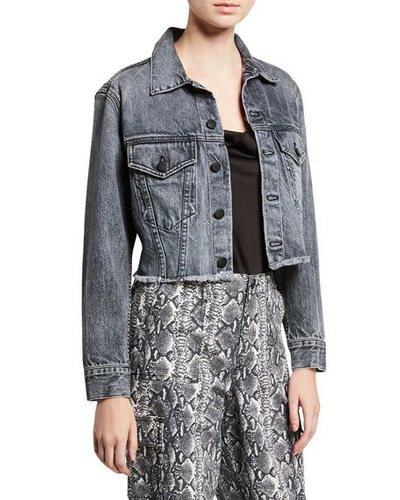 Alice And Olivia Cropped Boyfriend Jacket In Oh Baby