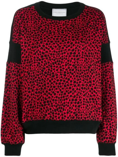 Philosophy Di Lorenzo Serafini Leopard Print Sweater In Red