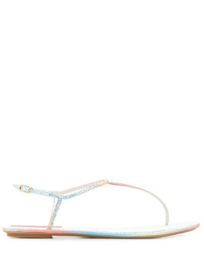 René Caovilla Strapped Sandals In Pink