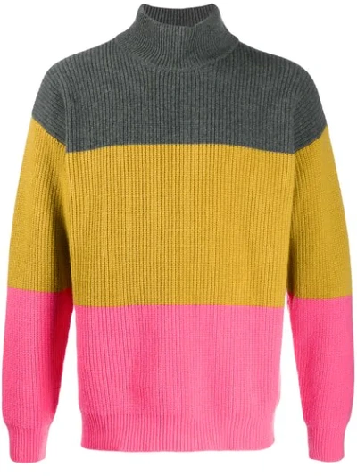 Roberto Collina Striped Roll-neck Jumper In Pink