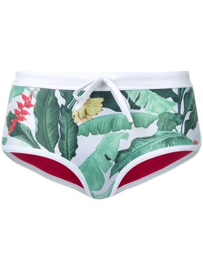Duskii 'oasis' Regular Bikini Bottom In Multicolour
