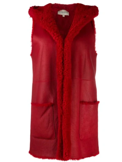 Holland & Holland Gilet-style Coat In Red