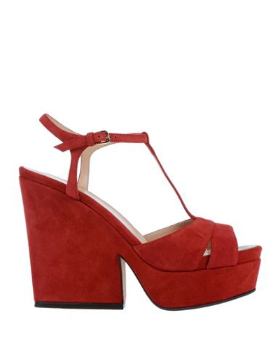 Sergio Rossi Sandals In Red