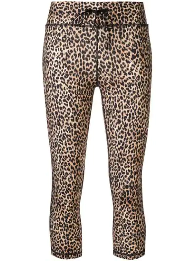 The Upside Cropped Leggings In Brown