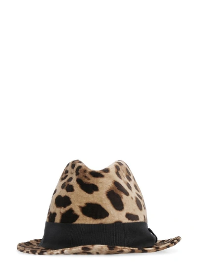 Dolce & Gabbana Leopard Print Fedora In Multicolor