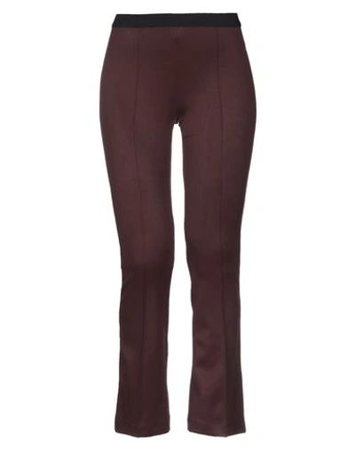 Helmut Lang Casual Pants In Deep Purple