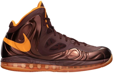 Pre-owned Nike  Hyperposite Team Brown In Team Brown/mandarin - Total Orange