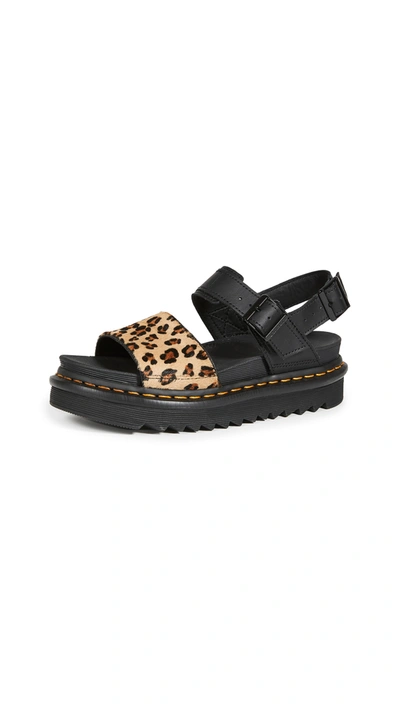 Dr. Martens X Asos Limited Edition Voss Sandals In Leopard-multi In Black/medium Leopard