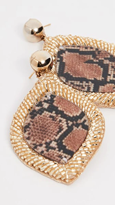 Deepa Gurnani Roxie Earrings In Snakeskin/gold
