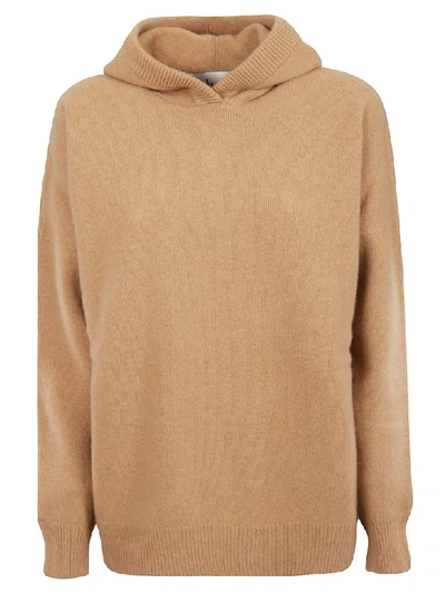 Alyki Geraldina Hoodie In Camel