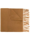 Moschino Logo In Brown