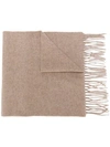 Moschino Logo-embroidered Fringed Scarf In Brown